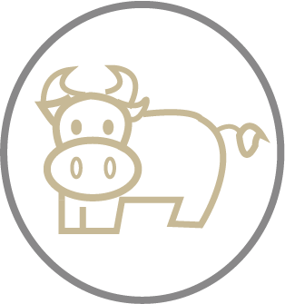 png12